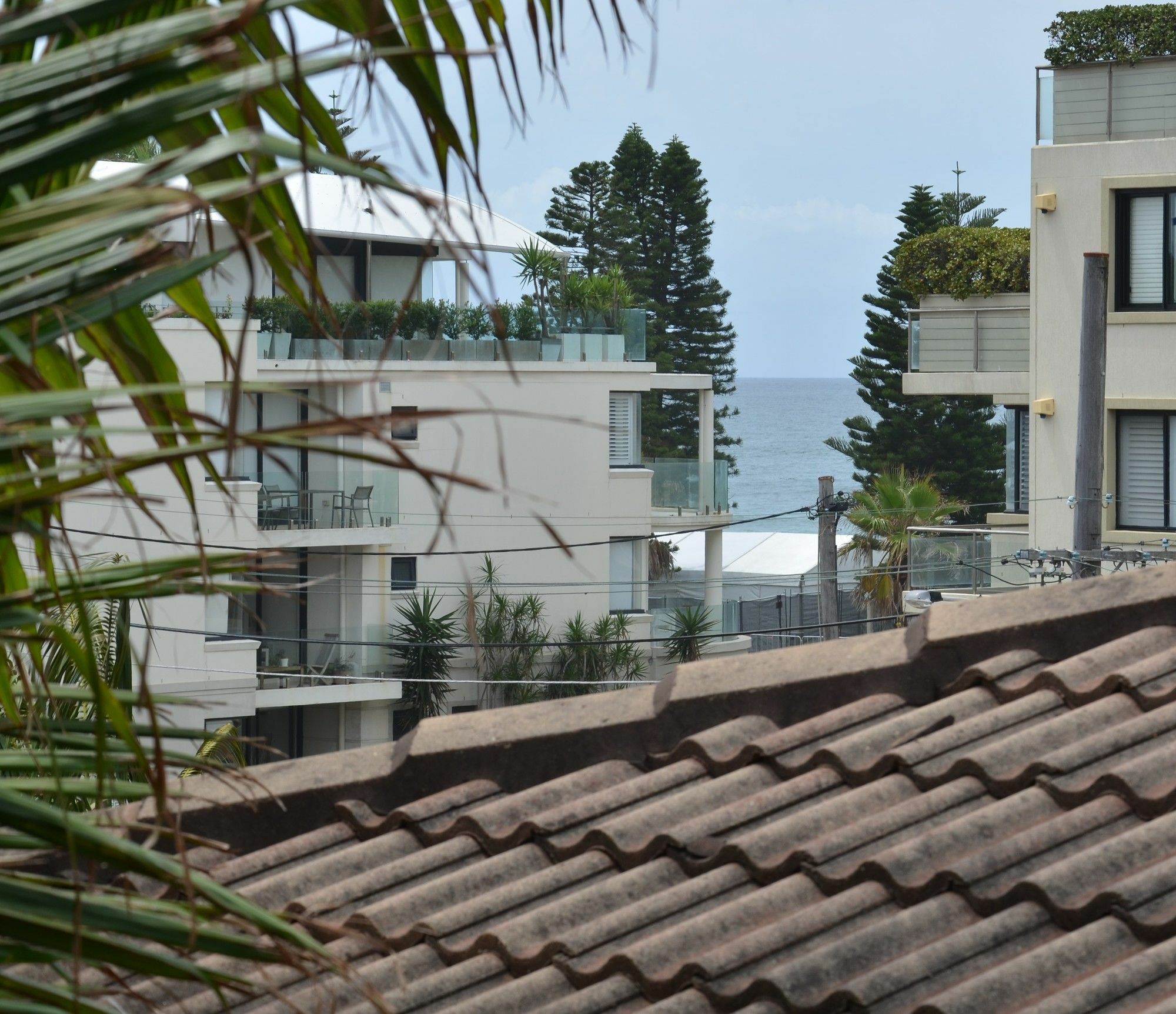 Manly Sandy Bottoms Guesthouse מראה חיצוני תמונה